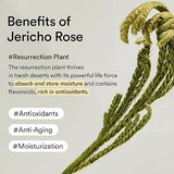 Collagen Eye Patch Jericho Rose Jelly 60pcs - Abib