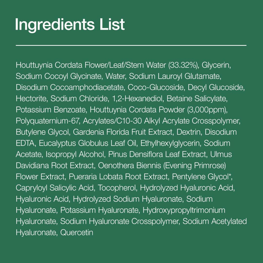 ANUA - Heartleaf Quercetinol Pore Deep Cleansing Foam (150ml)
