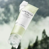 Skin 1004 Madagascar Centella Tea-Trica BHA Foam 120ml