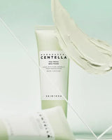 Skin 1004 Madagascar Centella Tea-Trica BHA Foam 120ml